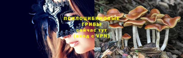тгк Алексин