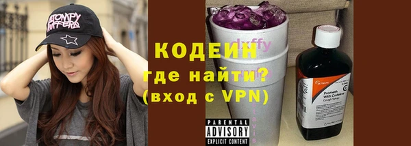 молекула духа Елабуга