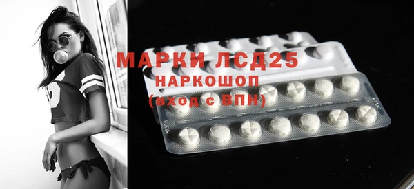 ПСИЛОЦИБИНОВЫЕ ГРИБЫ Елизово