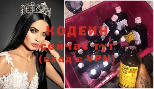 соль ск Вяземский