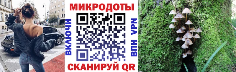 дарнет шоп  Минусинск  Псилоцибиновые грибы Psilocybine cubensis 